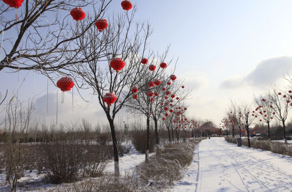 多图下雪啦盐池迎来2019年第一场雪美的不像话