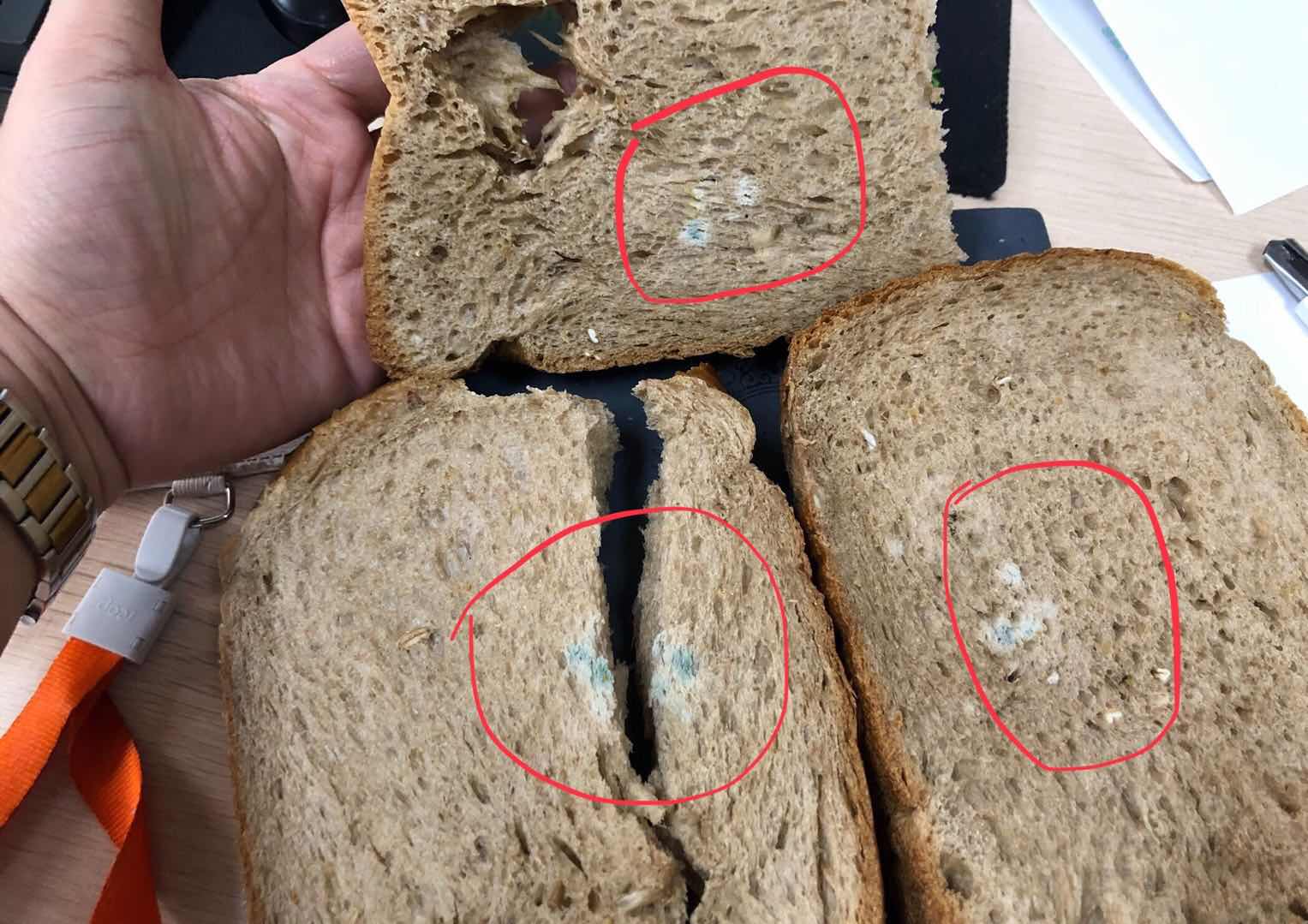 面包发霉的过程图片图片