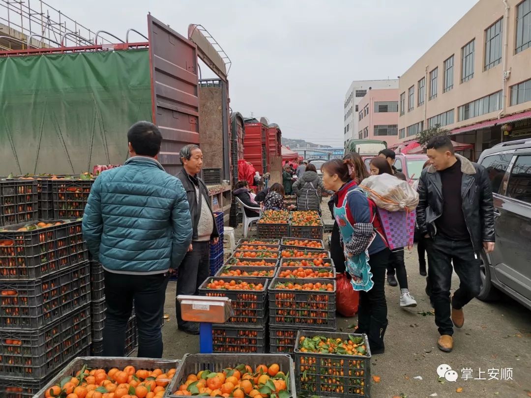 農產品批發市場 貨物充足 市民採購忙