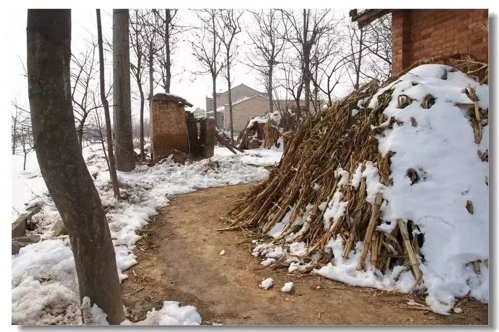 河南农村雪景图片