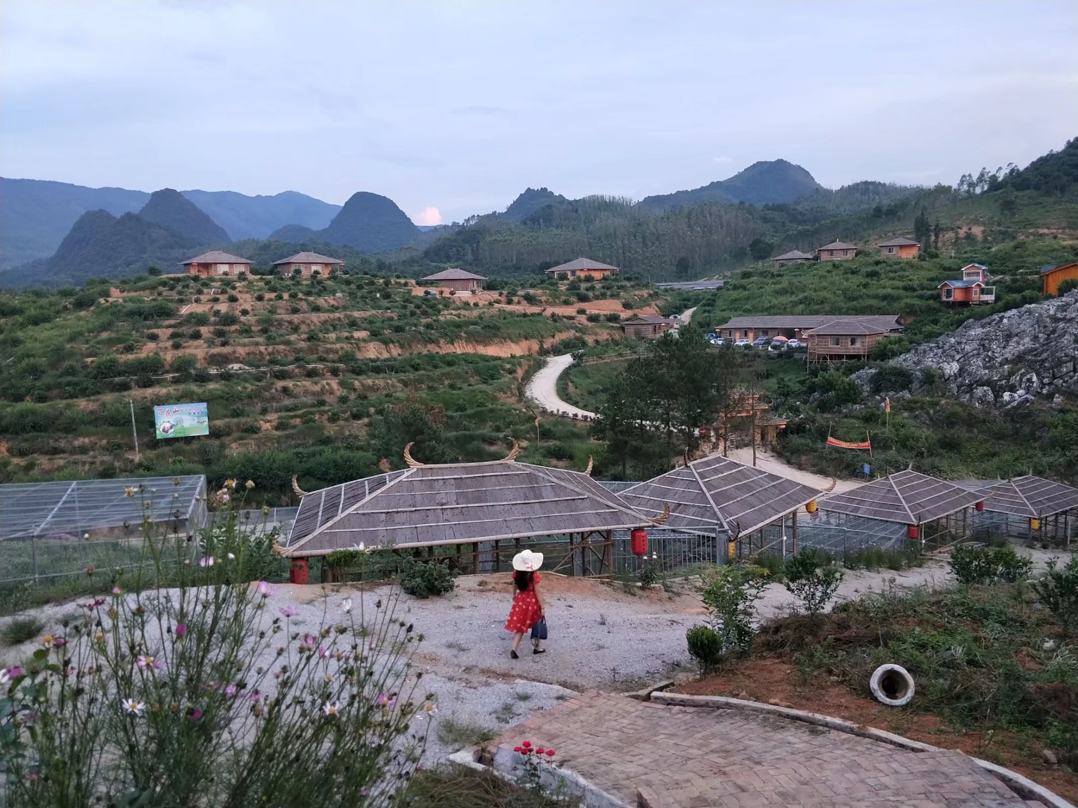 園區精心培育的臘梅,梅花,櫻花,映山紅,山捻花,藍莓花,油菜花,格桑花