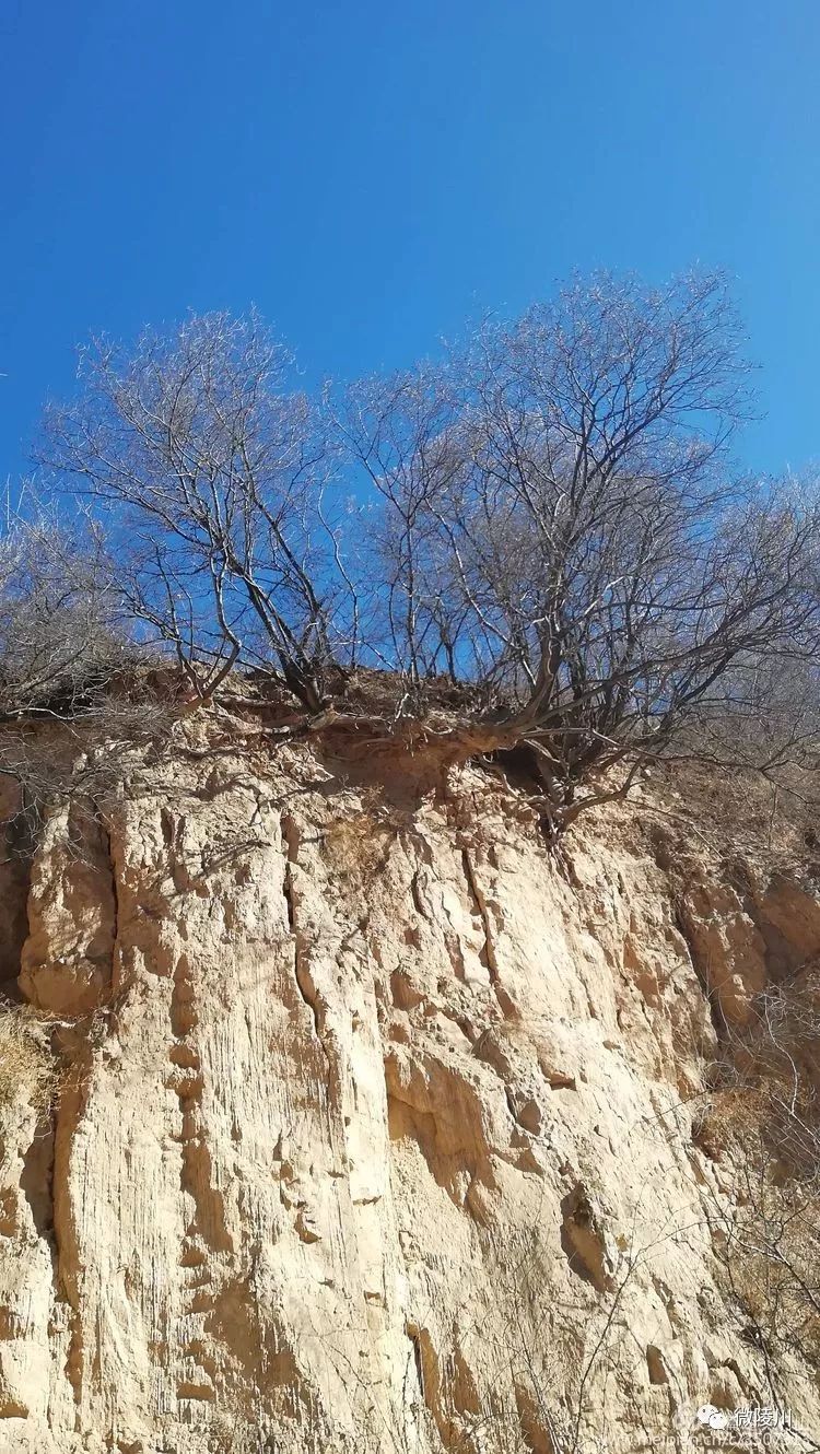 陵川美丽乡村六泉西湾村