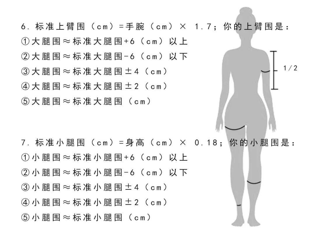 身材体型测试图片