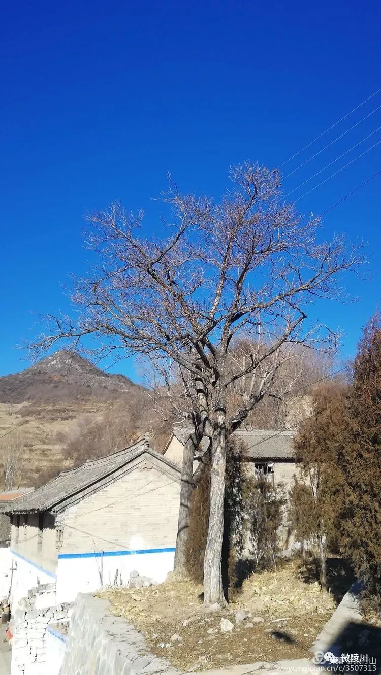 陵川美丽乡村六泉西湾村