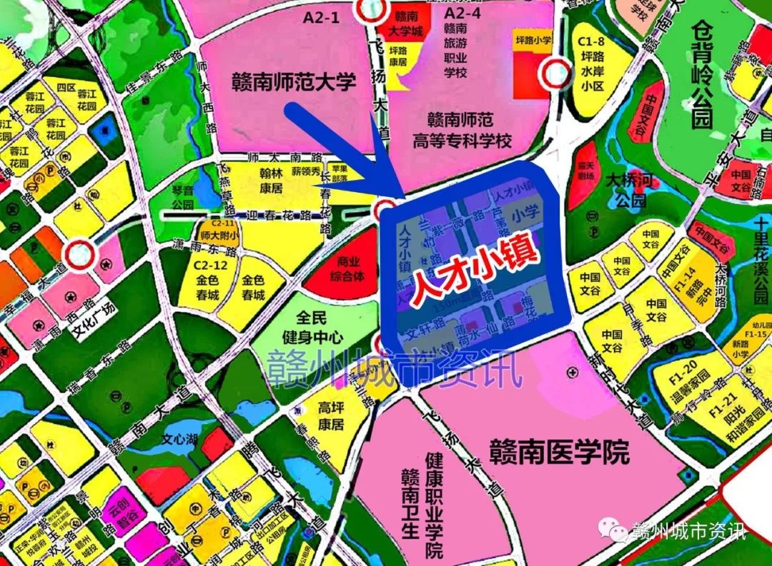 蓉江新区学校规划图片