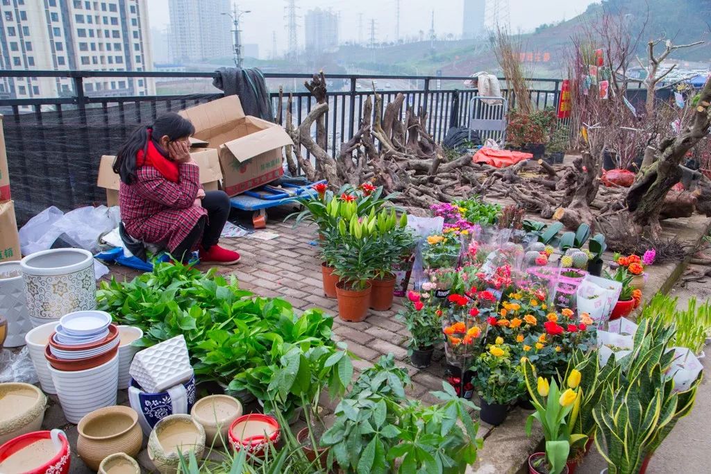 重庆大竹林望海花市图片