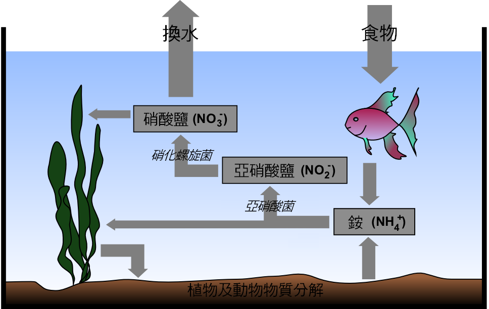 海缸过滤系统图解图片