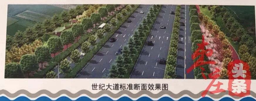 枣庄世纪大道快速路图图片