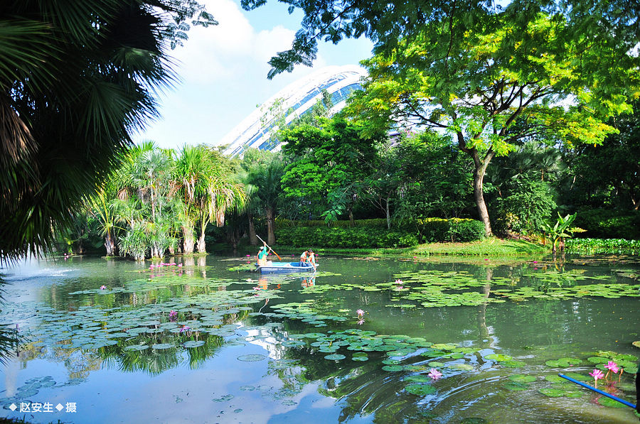 天之水网带您走进新加坡滨海湾花园一座你不可错过的秘密花园