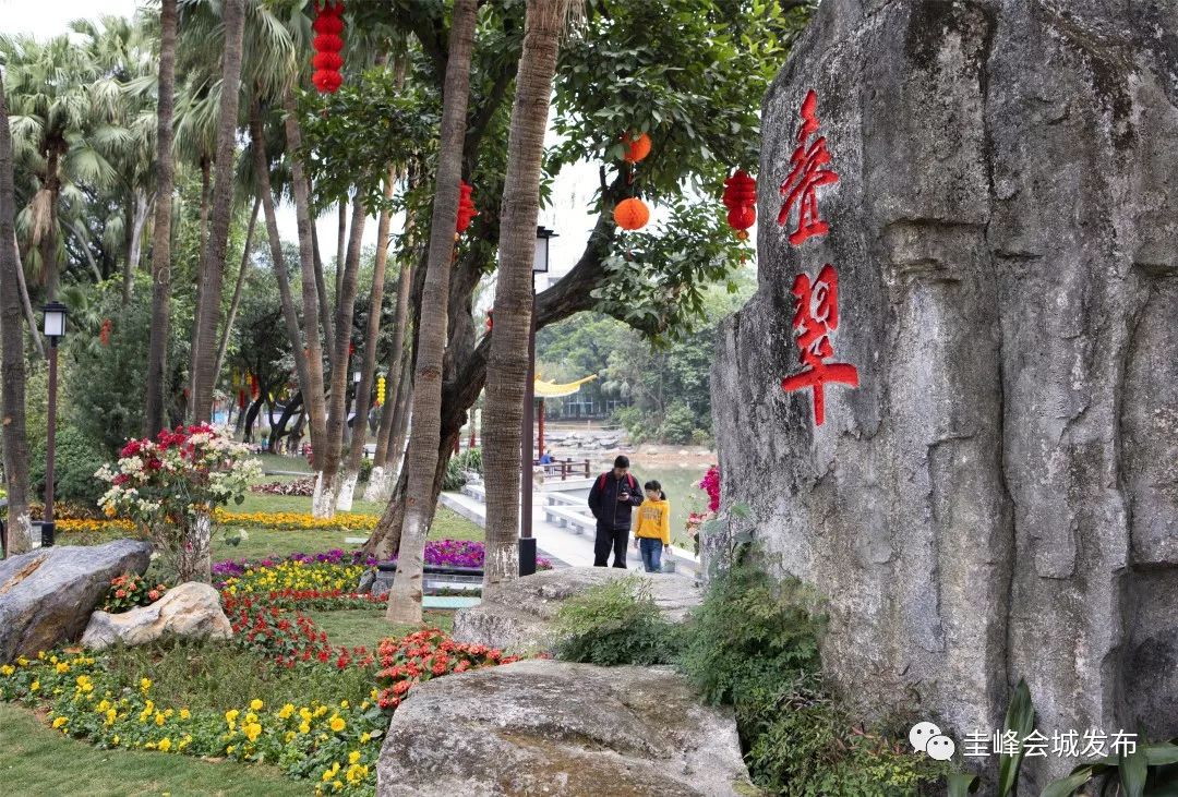 【城市提質】這個春節,新會花滿街,綠滿城,景滿眼!_公園