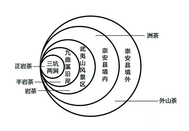 了解岩茶从这里入门