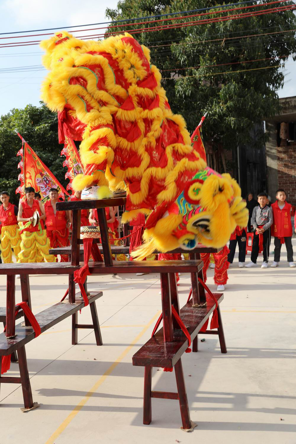 藤县禤洲醒狮团图片