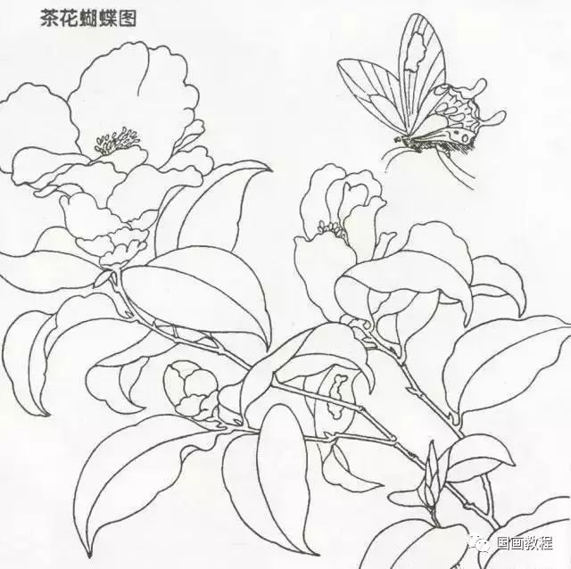 宋代花鸟白描画稿临摹收藏