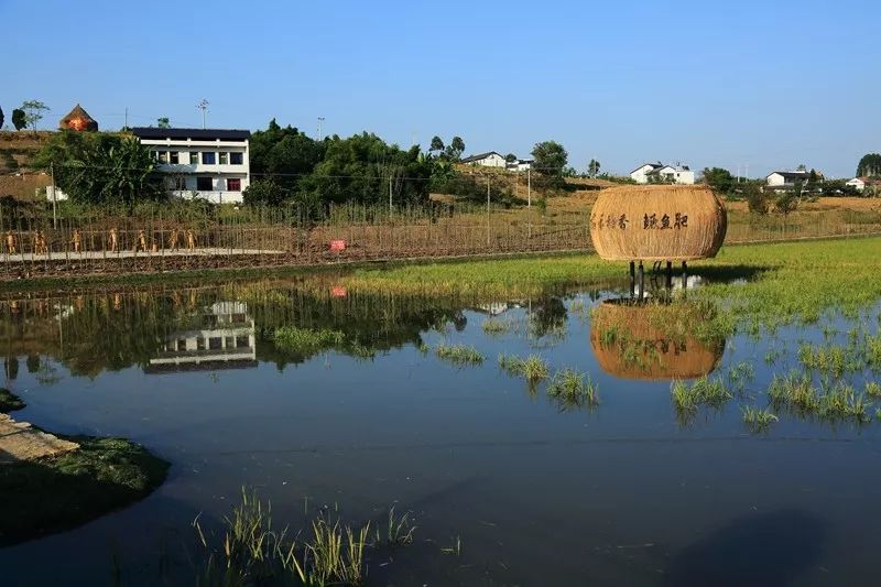 禾豐村 崔海斌攝高石鎮地處四川盆地威遠縣城東北部,自古以來就是威遠