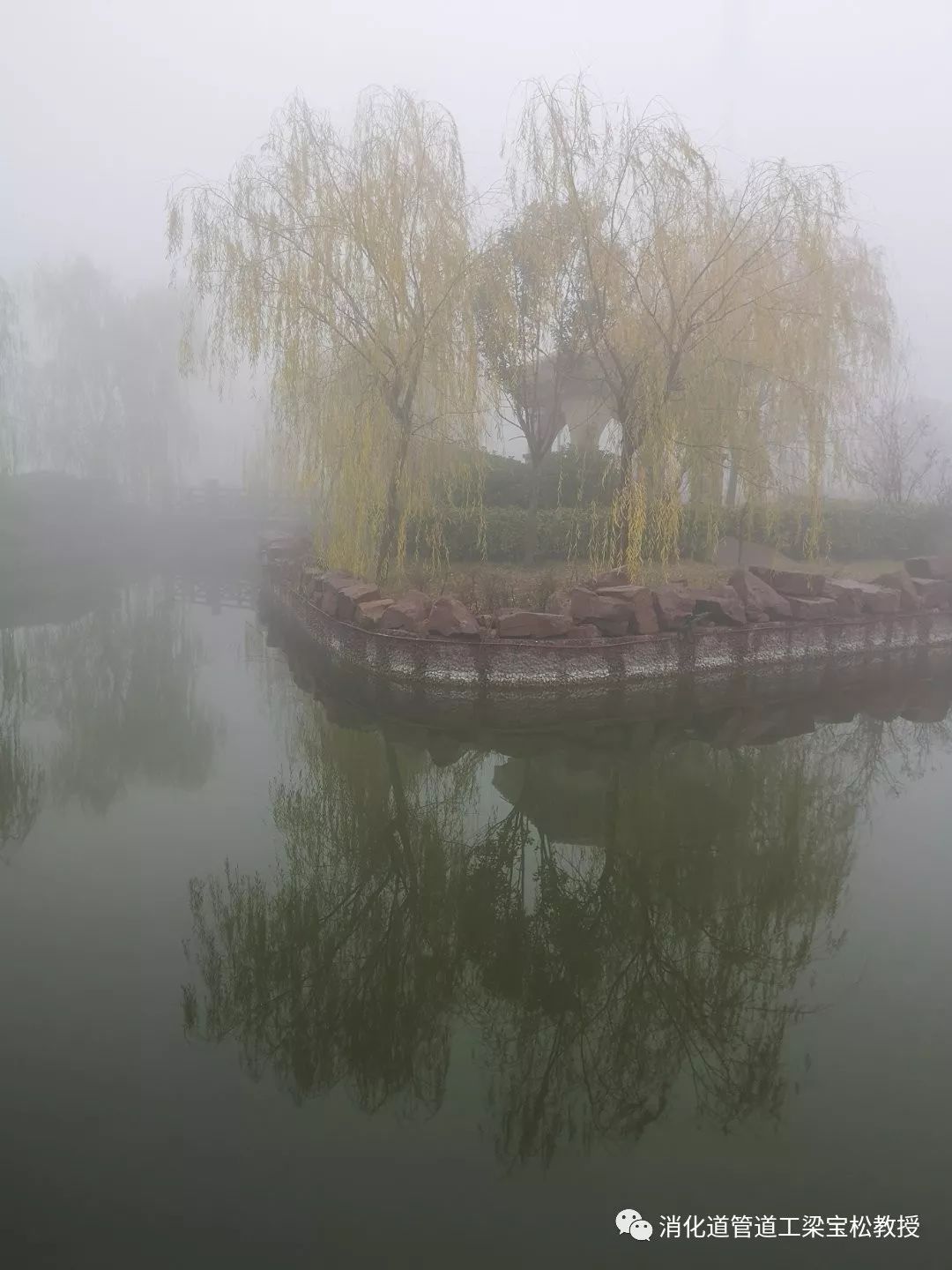 雨裡霧裡的仙境