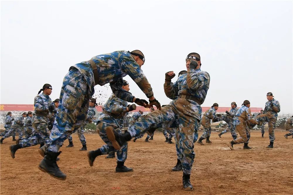 啥是佩奇?海軍新兵的回答亮了