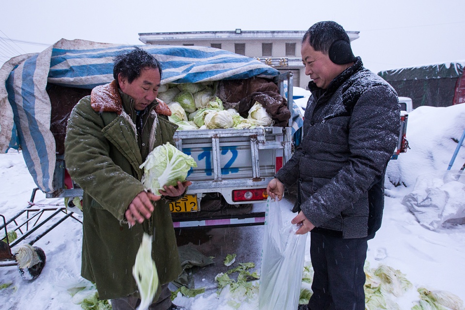 大叔说他自昨天傍晚进城卖白菜,售价为1毛钱一斤,哆哆嗦嗦冻了一夜,才