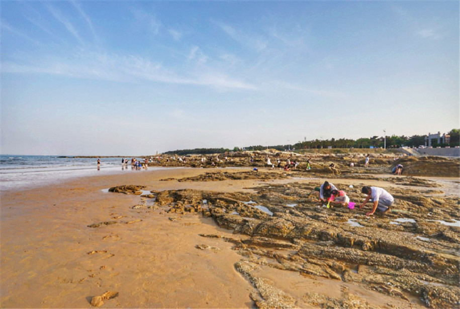 劉家灣趕海園和萬寶趕海園是私人的收費趕海園這兩個收費的趕海園不太