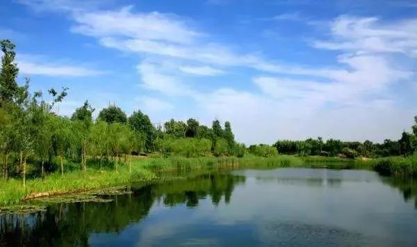 潮白河森林公園 東南郊溼地公園 涼水河溼地公園 馬駒橋溼地公園 漷縣