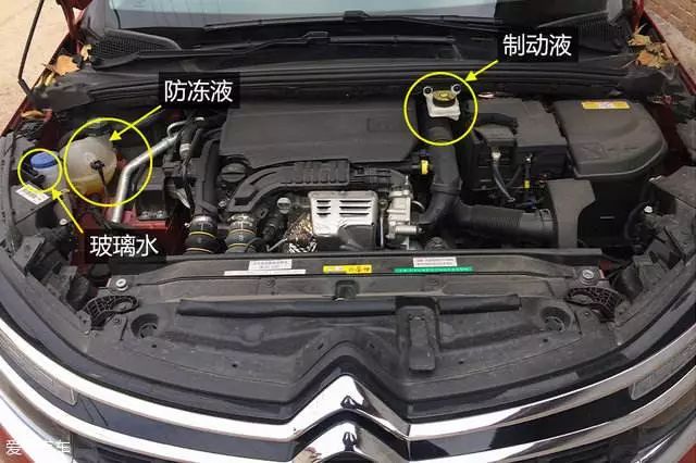汽车防冻液标准位置图图片