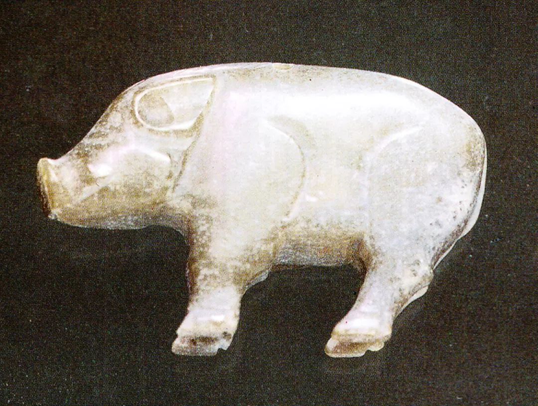 与同时代其他肖生玉雕相类,战国玉猪的造型已具有
