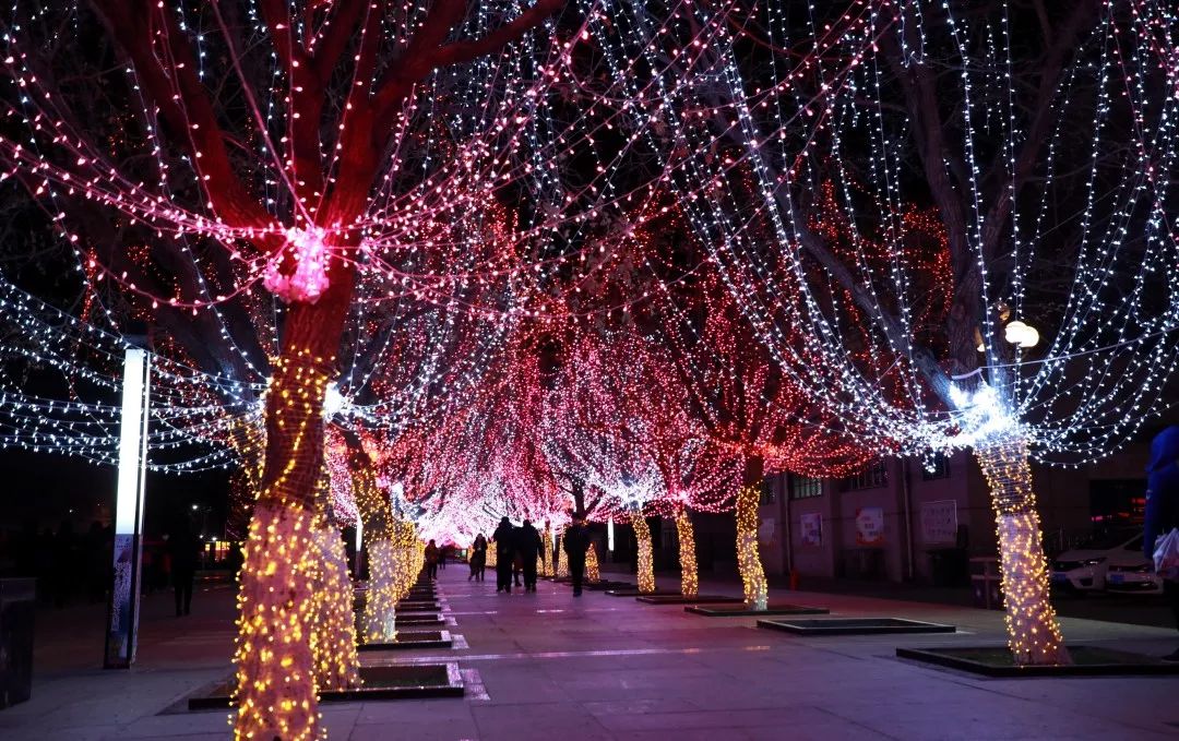 北辰区夜景图片