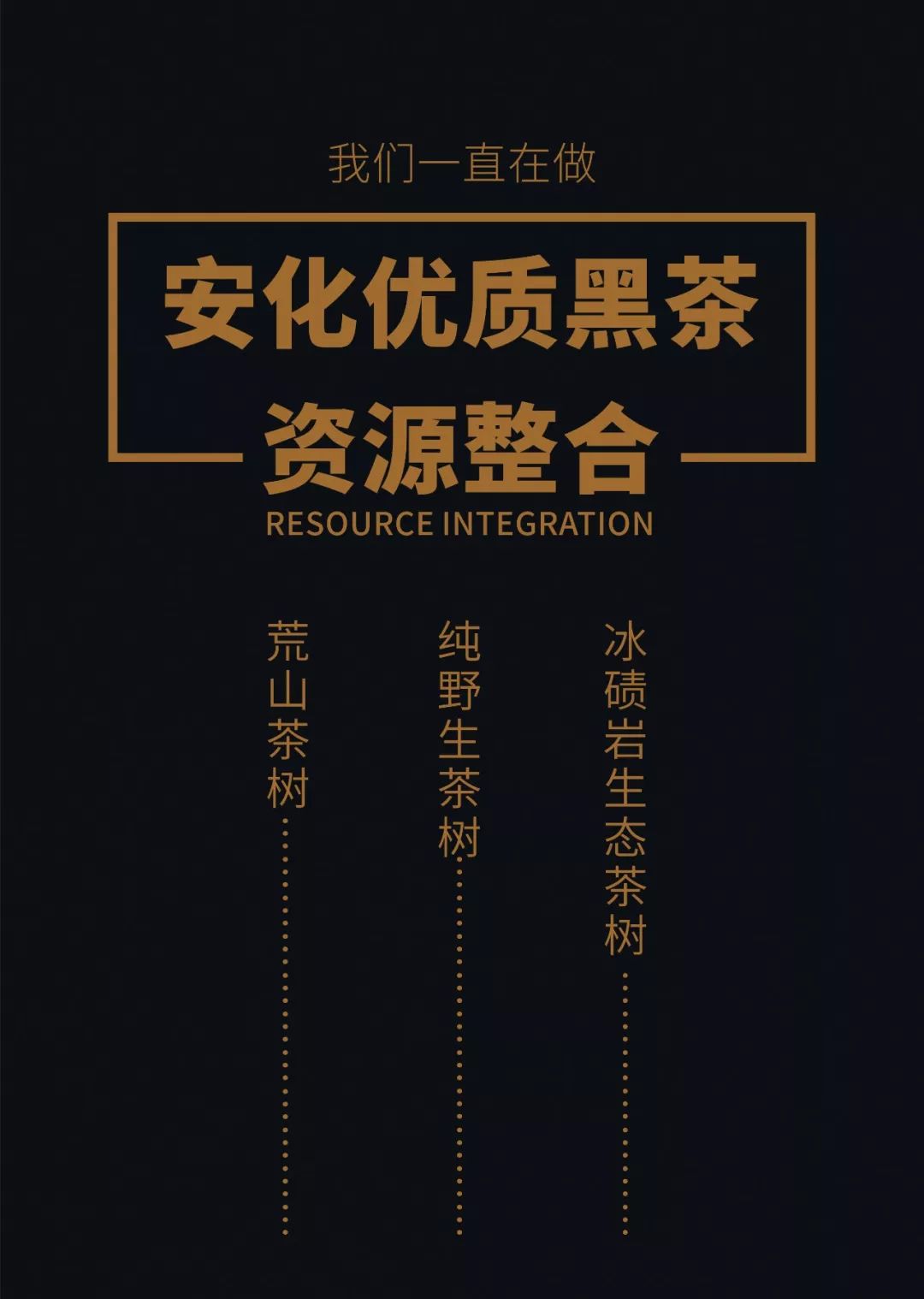 感恩2018—冰碛岩上的富硒茶含花怒放._安化