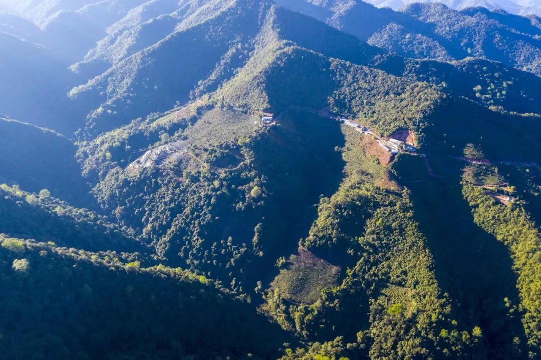 会当凌绝顶一览古茶园景东五棵桩徒步见闻