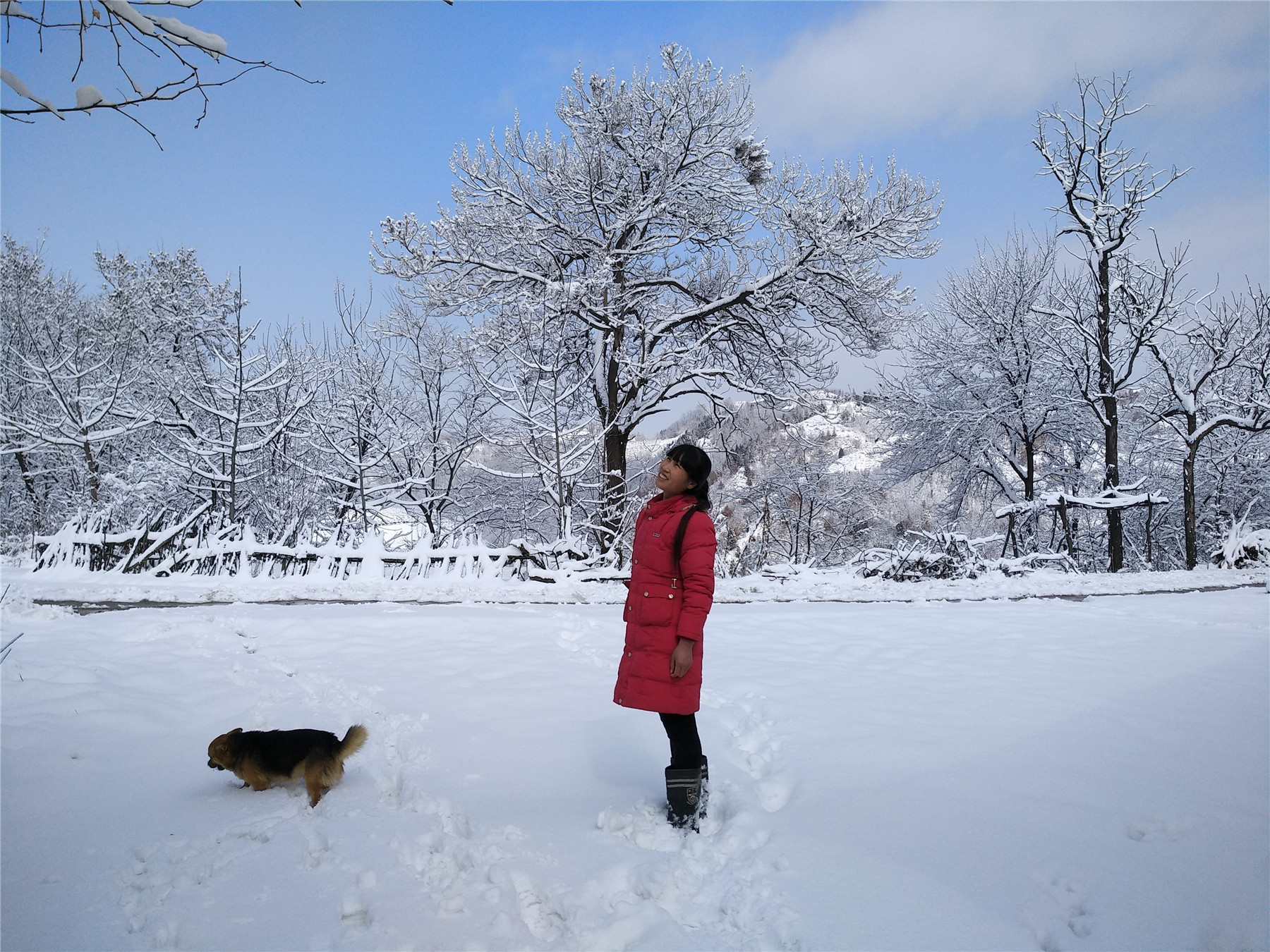 憧憬中的风景雪地红衣女子与狗