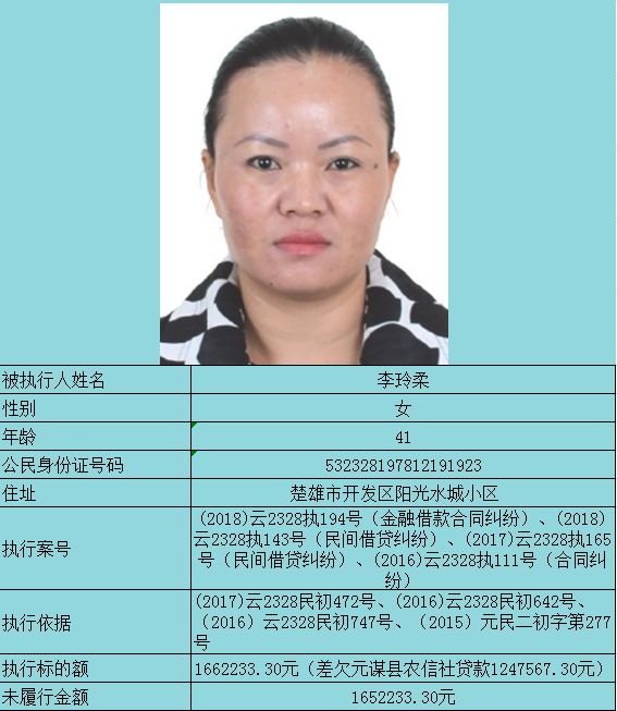 被执行人是什么意思，历史被执行人是什么意思