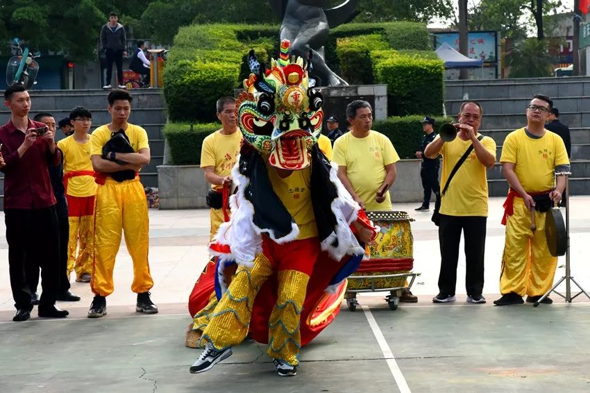 吉祥的麒麟凌风飞舞,为广大市民献上了新春的祝福,展现了清溪丰富多彩