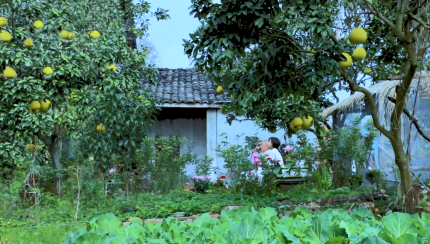 李子柒家到底住在哪里图片