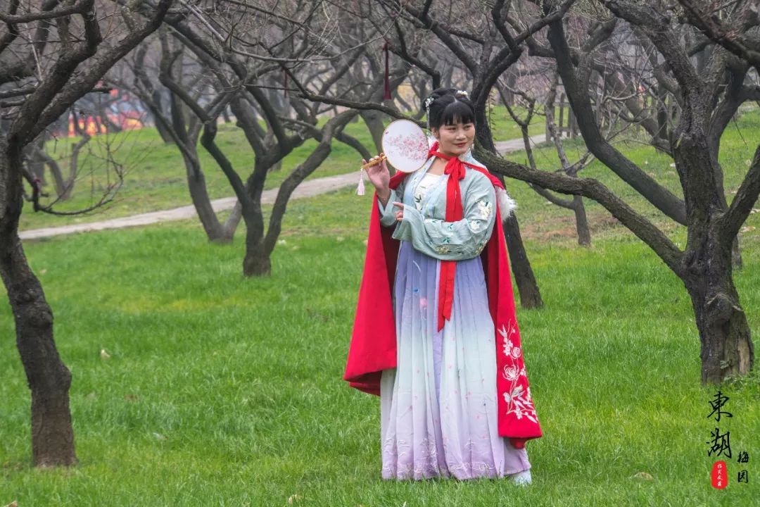 武汉人的新年赏梅根据地和家人来东湖梅园团聚祈福闹新春