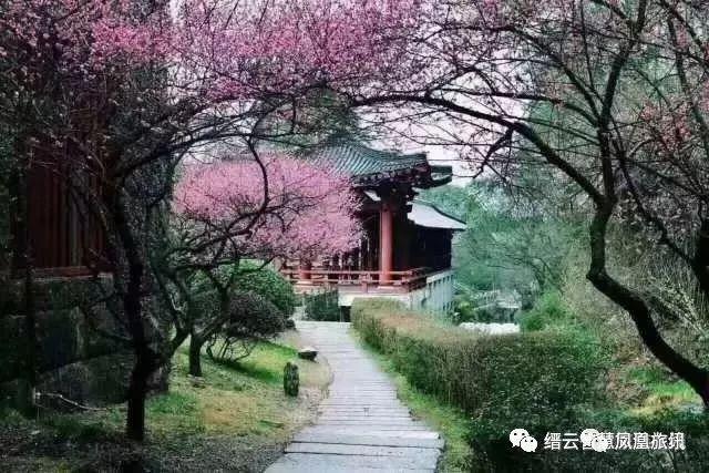 在縉雲過大年！一起去找詩和遠方… 旅遊 第5張