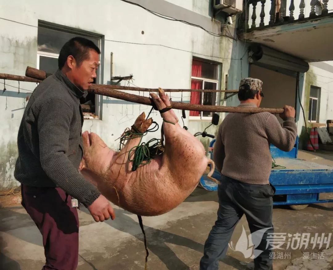 抬猪架子图片图片