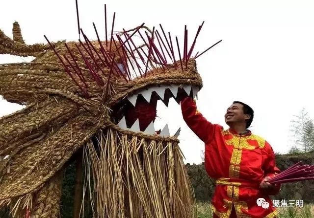 网络祝年 注意,三明这些地方有"龙"出没!_稻草