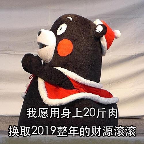 熊本熊表情包:我愿用身上20斤肉换取2019整年的财源滚滚