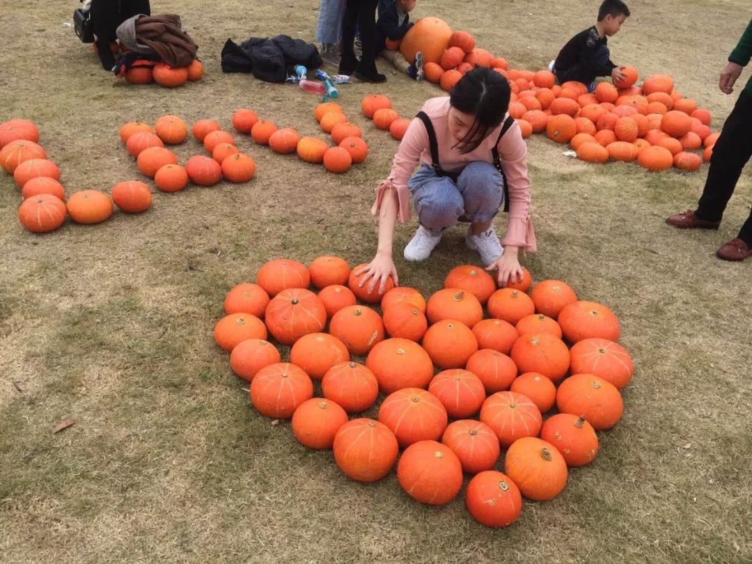 收下這份新年祝福!_農科奇觀