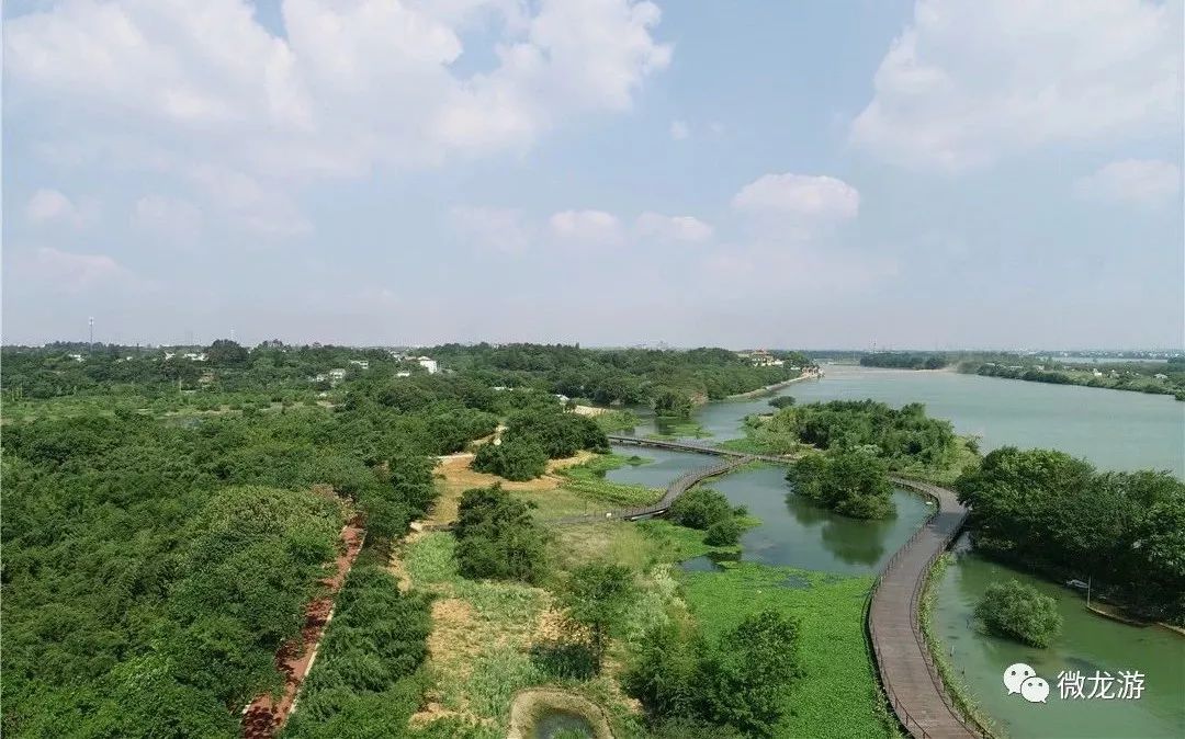 草木上落了一層微霜,在清晨的陽光下閃著光,龍游縣龍洲公園的綠道上