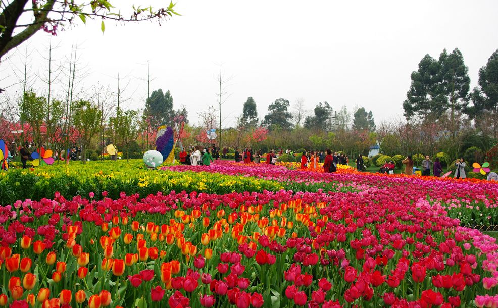 什邡时光花境艺术公园图片