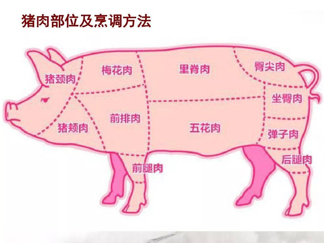 从下面这些可食用猪肉部位图来看