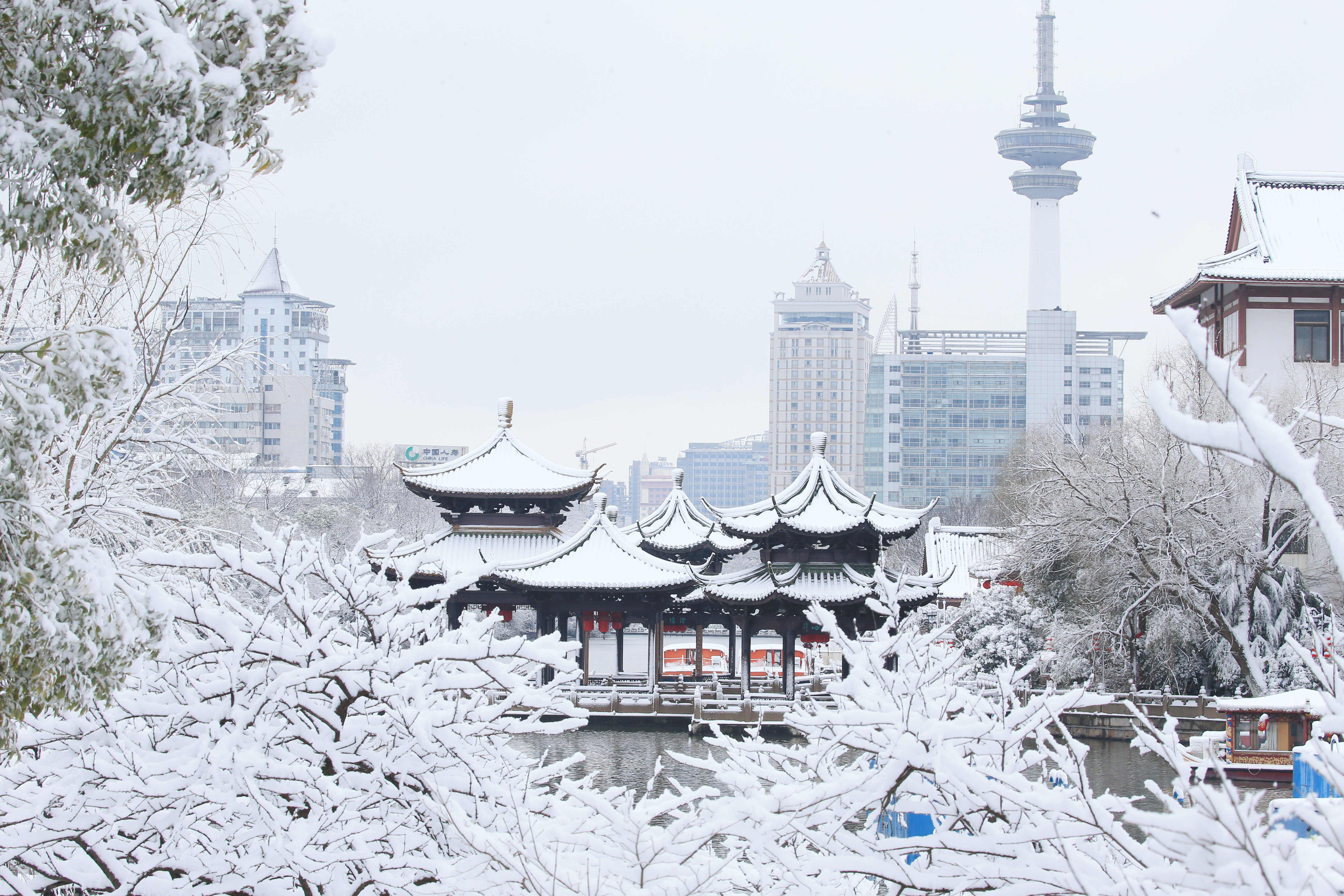 这是2月8日在江苏南通濠河风景区拍摄的雪景 新华社发