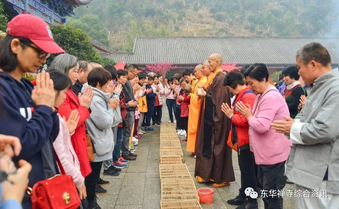 櫻花著錦福慧如春東華禪寺2019年新春祈福法會暨櫻花盛況