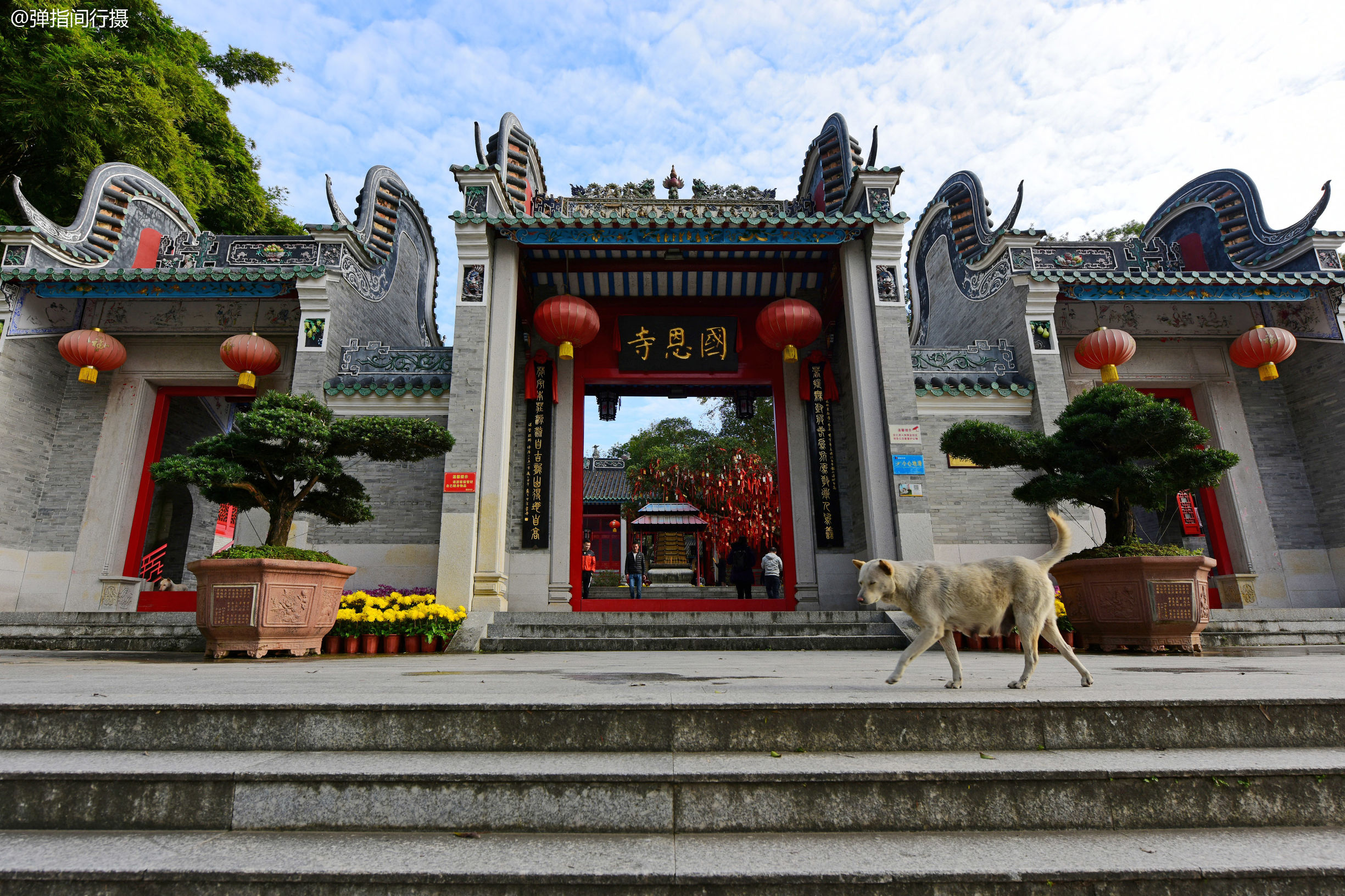 都會參加各種祈願活動,有參加寺院的祈福法會,也有自發到寺廟參拜祈禱