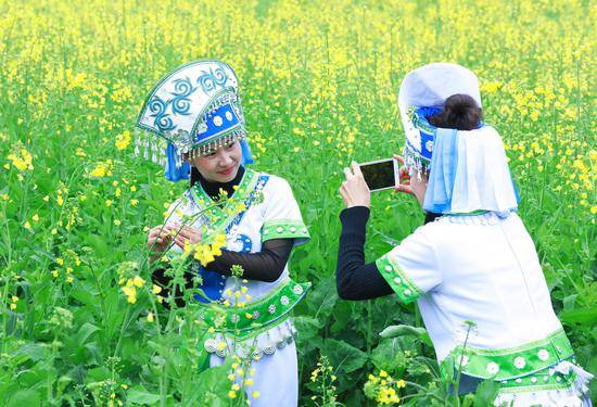 原創
            這個春節假期，迷失在羅平的油菜花海里，難以自拔，不想回去上班 旅遊 第1張