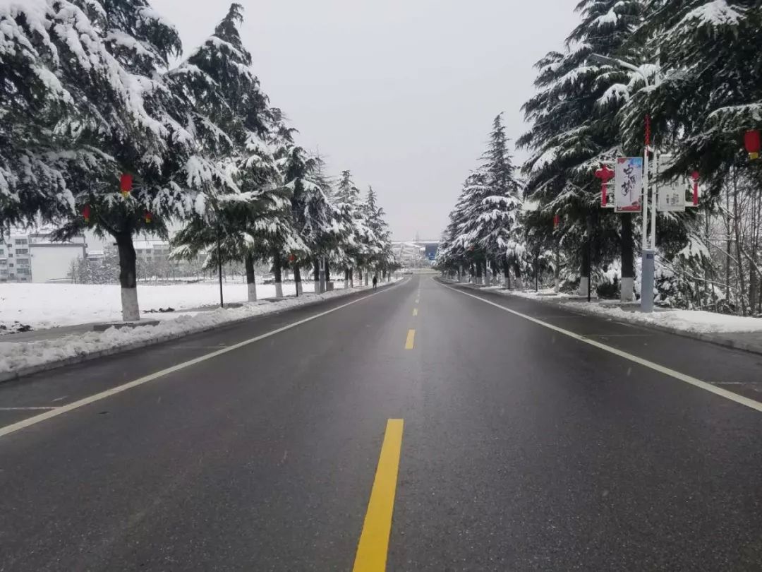 下雪路上的美景图片