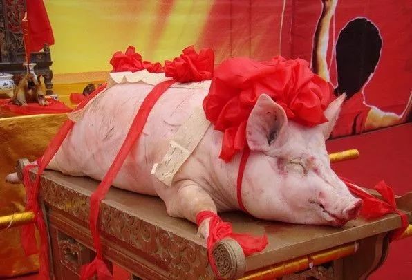 年猪端午祭图片
