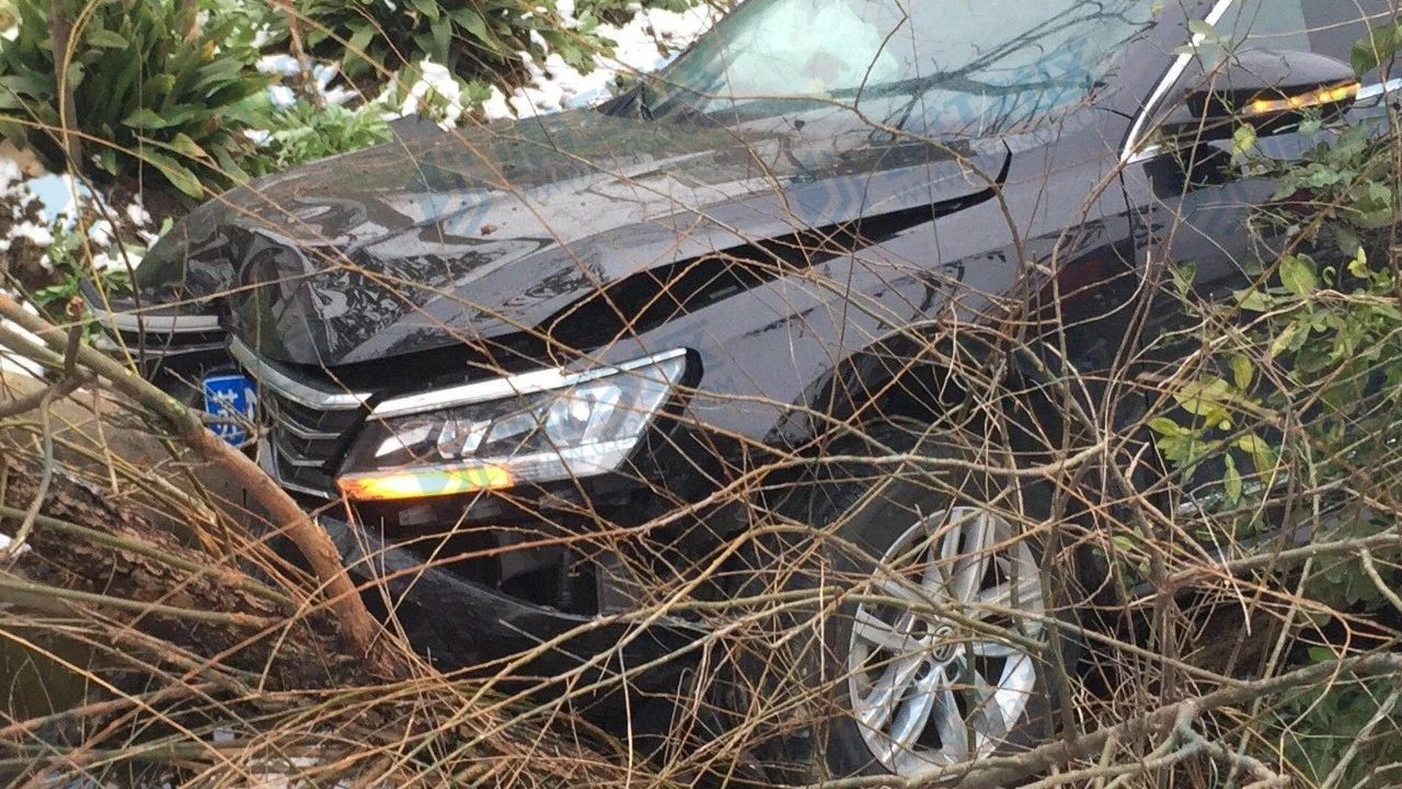 沒車損險撞樹了怎麼辦 自己撞樹有座險