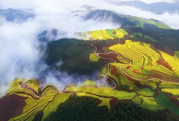 原創
            這個春節假期，迷失在羅平的油菜花海里，難以自拔，不想回去上班 旅遊 第2張