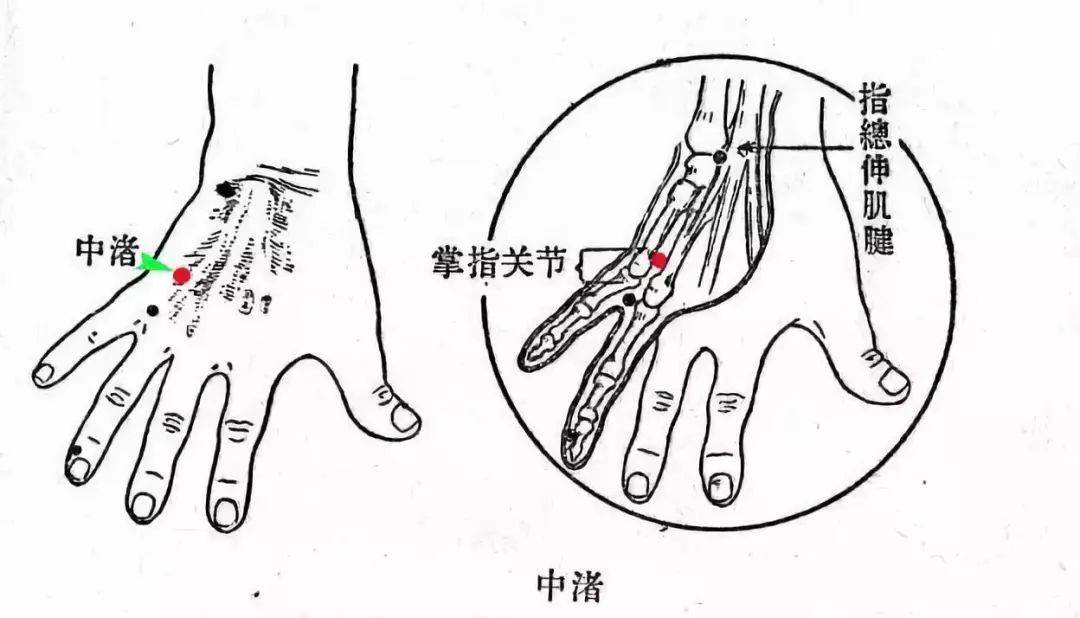 8,消濼穴:祛溼化痰.